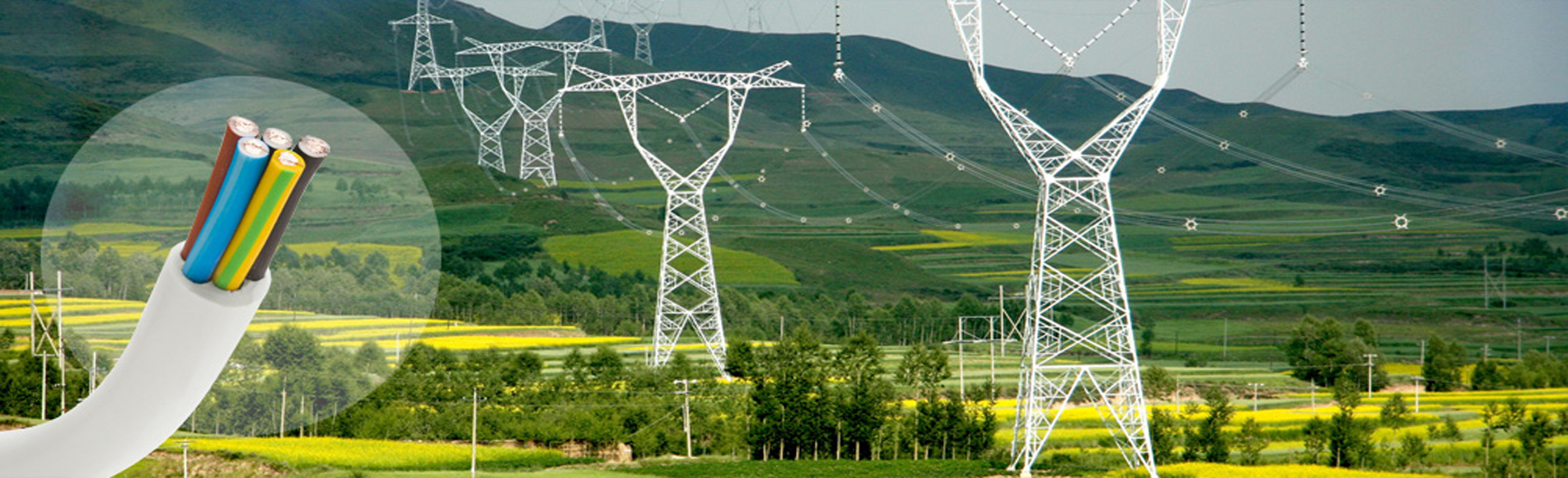 安徽开云电子平台_开云(中国)优秀品牌，绿宝特种开云电子平台_开云(中国)，厂家直销, 0551-64203668